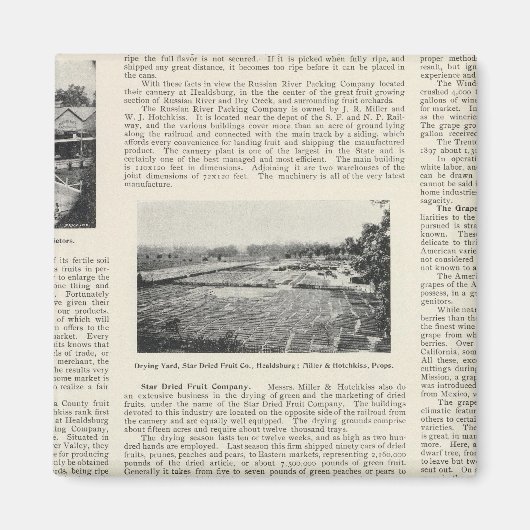 カリフォルニア州ソノマ郡 マグネット (正面)