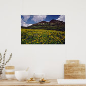 カリフォルニア州ソノラパス付近の花畑 ポスター (キッチン)