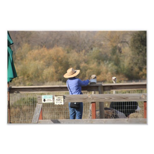 カリフォルニア州ソルバン フォトプリント            (正面)