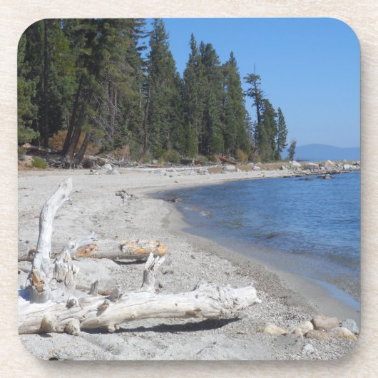 カリフォルニア州タホ湖 コースター (正面)