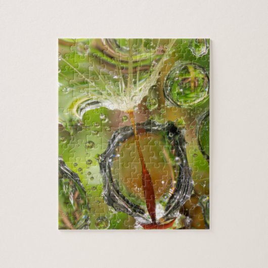 カリフォルニア州タンポポポ種子の水 ジグソーパズル (縦)