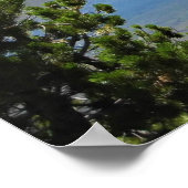 カリフォルニア州ティオガ峠シェルレイクのダナ山 ポスター (角)