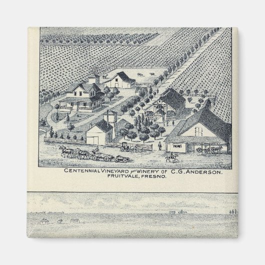 カリフォルニア州デアルドルフと100年のブドウ畑 マグネット (正面)