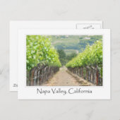カリフォルニア州ナパバレー 春のワイナリー ポストカード (正面/裏面)
