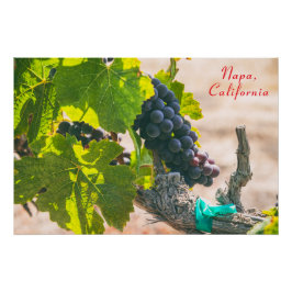 カリフォルニア州ナパ ポスター