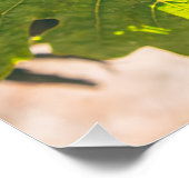 カリフォルニア州ナパ ポスター (コーナー)