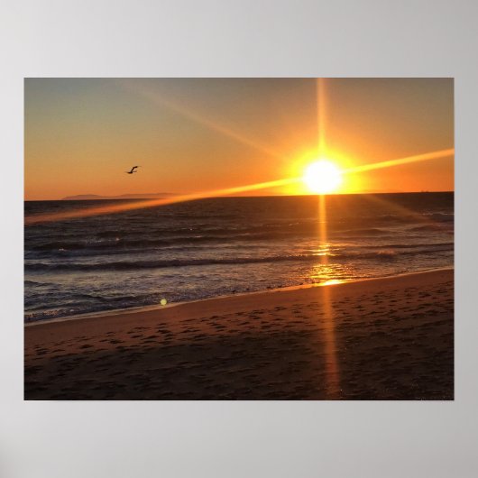 カリフォルニア州ニューポートビーチの夕日 ポスター (正面)