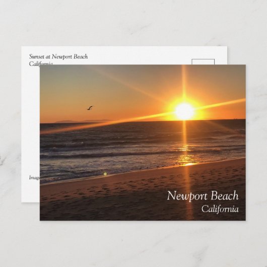 カリフォルニア州ニューポートビーチの夕日 ポストカード (正面/裏面)