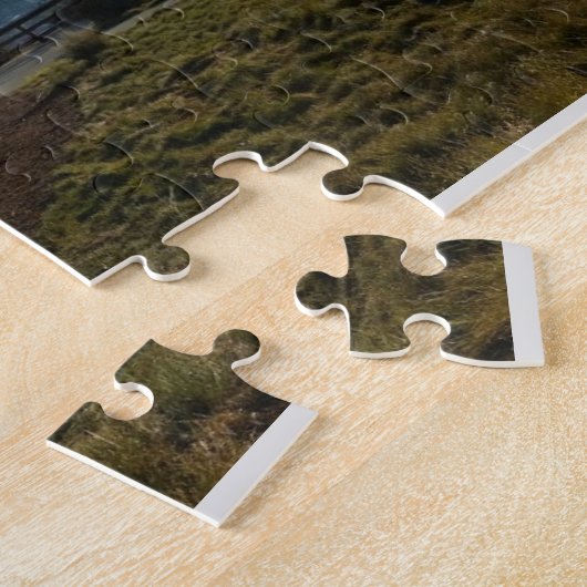 カリフォルニア州ニューポートビーチキャスタウェイズパーク ジグソーパズル (側面)