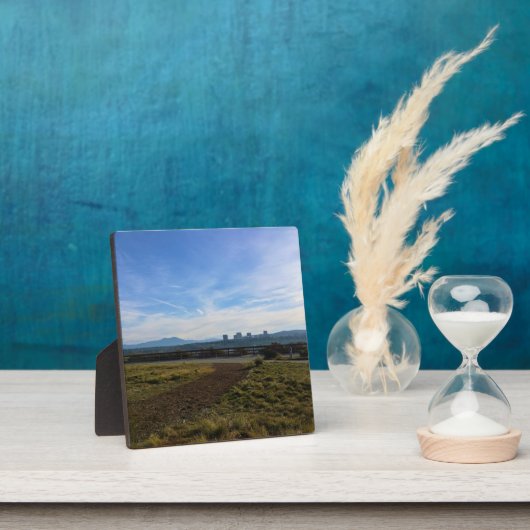 カリフォルニア州ニューポートビーチキャスタウェイズパーク フォトプラーク (インサイチュ)