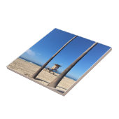 カリフォルニア州ニューポートビーチブラックリー タイル (側面)