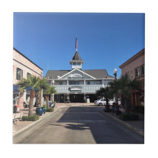 カリフォルニア州ニューポートビーチ、バルボア・パビリオン タイル (正面)