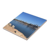 カリフォルニア州ニューポート州ウェッジビーチからの表示 タイル (側面)