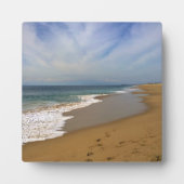 カリフォルニア州ニューポート州ウェッジビーチからの表示 フォトプラーク (正面)