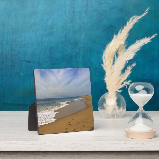 カリフォルニア州ニューポート州ウェッジビーチからの表示 フォトプラーク (インサイチュ)