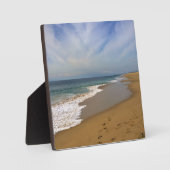 カリフォルニア州ニューポート州ウェッジビーチからの表示 フォトプラーク (正面)