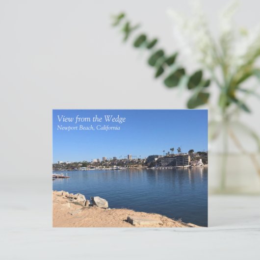 カリフォルニア州ニューポート州ウェッジビーチからの表示 ポストカード (スタンド正面)