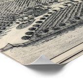 カリフォルニア州ハスティー・ヴィンヤード ポスター (角)