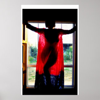 カリフォルニア州バハの午後遅く ポスター