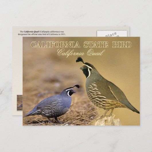 カリフォルニア州バード – カリフォルニアクワイユ ポストカード (正面/裏面)