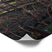 カリフォルニア州パソ・ロブレスにあるハートストーン・ヴィネヤード ポスター (角)