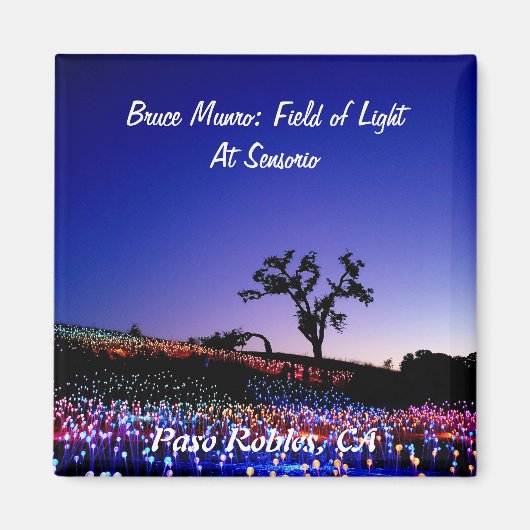 カリフォルニア州パソ・ロブレスのライトのフィールド、ブルース・マンロー。 マグネット (正面)