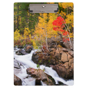 カリフォルニア州ビショップクリークの紅葉 クリップボード
