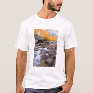 カリフォルニア州ビショップクリーク沿いの秋 Tシャツ