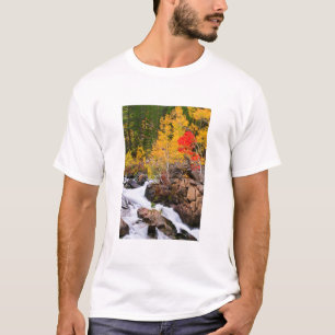 カリフォルニア州ビショップクリーク沿いの紅葉 Tシャツ