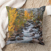 カリフォルニア州ビショップクリーク沿い 紅葉 クッション (ブランケット)