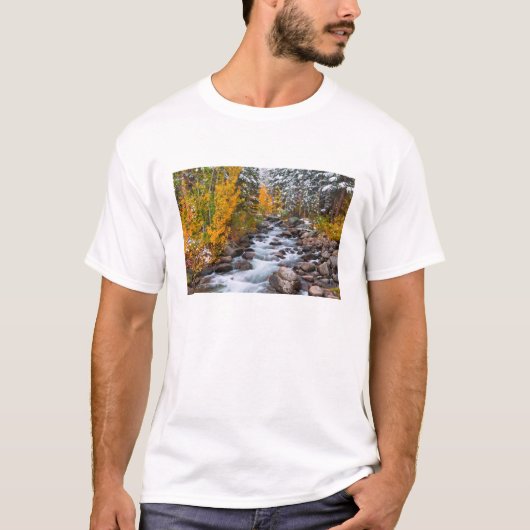 カリフォルニア州ビショップクリーク沿い Tシャツ (正面)