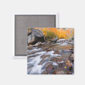 カリフォルニア州ビショップ・クリークに沿った秋 マグネット (正面/裏面)