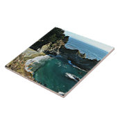 カリフォルニア州ビッグスル タイル (側面)