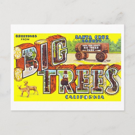 カリフォルニア州ビッグツリーズのヴィンテージグリーティングカード ポストカード (正面)