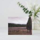 カリフォルニア州ビッグベア_湖 ポストカード (スタンド正面)