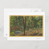 カリフォルニア州ビッグベイスン"キャンプファイアボウル"ビュー ポストカード (正面/裏面)