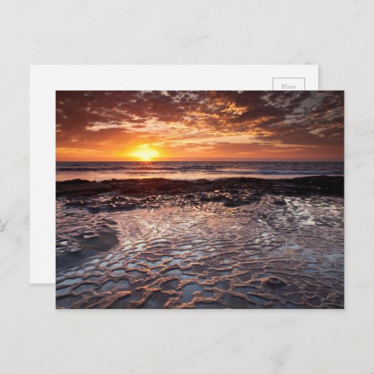 カリフォルニア州ビーチの夕日 ポストカード (正面/裏面)