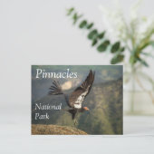 カリフォルニア州ピナクルス国立公園コンドル飛行中 ポストカード (スタンド正面)