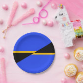 カリフォルニア州フォソム国旗 ペーパープレート (パーティー)