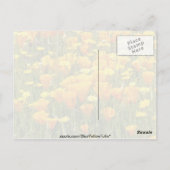 カリフォルニア州ベアバレーのオレンジ色のワイルドフラワーフィールド ポストカード (裏面)