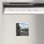 カリフォルニア州ペタルマ マグネット (インサイチュ (食洗機))