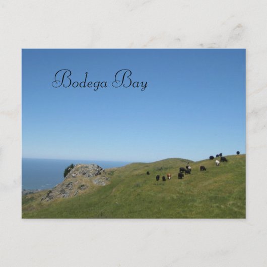 カリフォルニア州ボデガ湾 ポストカード (正面)