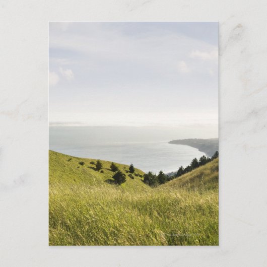 カリフォルニア州ボリナス・リッジ沿岸の丘 ポストカード (正面)