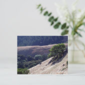 カリフォルニア州ボリナス・リッジ ポストカード (スタンド正面)