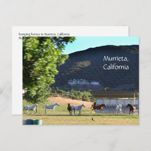 カリフォルニア州ムリエタのロムピンウマ ポストカード (正面/裏面)