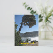 カリフォルニア州メンドシーノ ポストカード (スタンド正面)