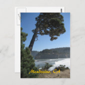 カリフォルニア州メンドシーノ ポストカード (正面/裏面)