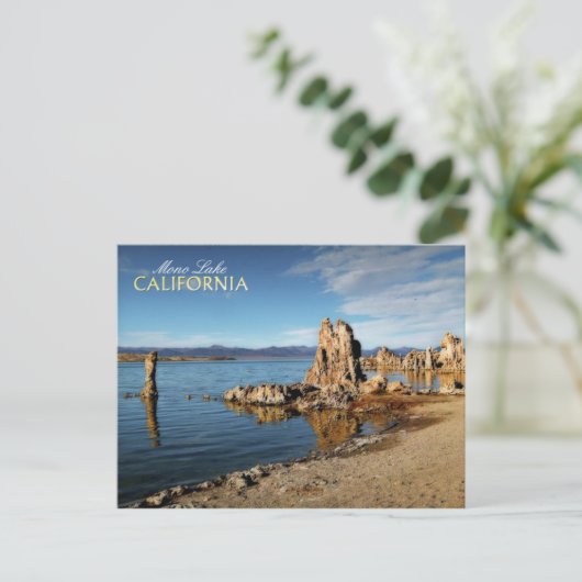 カリフォルニア州モノレイクのトゥファタワーズ ポストカード (スタンド正面)