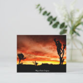 カリフォルニア州モハベ砂漠 ポストカード (スタンド正面)