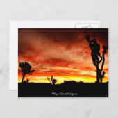 カリフォルニア州モハベ砂漠 ポストカード (正面/裏面)